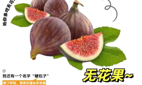 怀孕期间的胎热是什么网-分享胎热对胎儿有什么影响，怀孕期间胎停是什么原因造成的知识库
