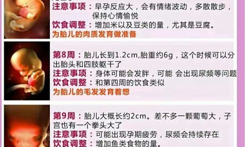 怀孕可以吃鱼骨吗？怀孕吃什么比较好